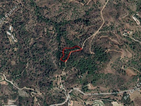 land for sale kato platres limassol 828753 image 11081695