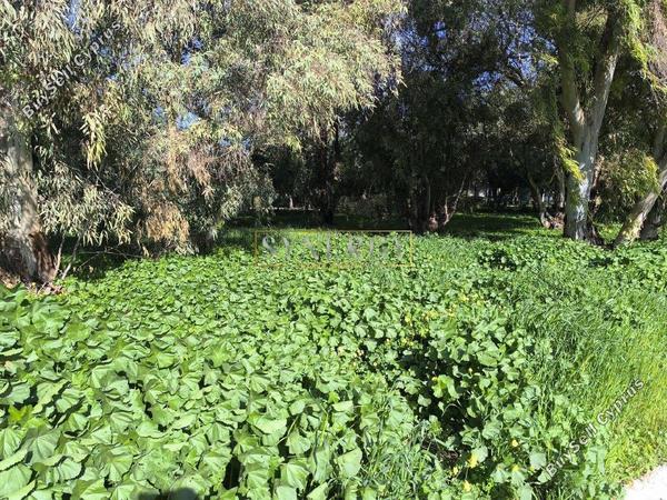plot for sale strovolos nicosia 8238753 image 16843484