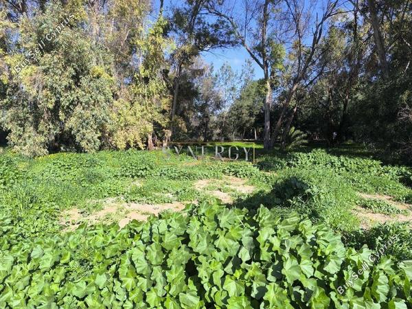 plot for sale strovolos nicosia 8238753 image 16843493