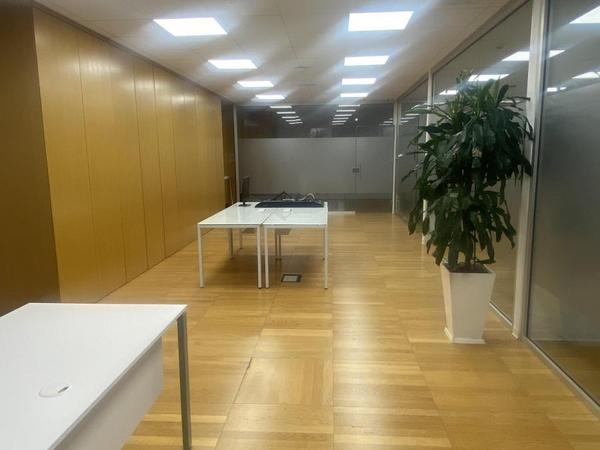 studio office for rent egkomi nicosia 1511753 image 14195699