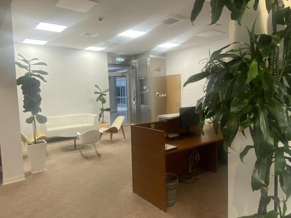 studio office for rent egkomi nicosia 1511753 image 14195700