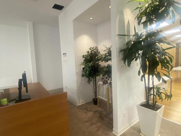 studio office for rent egkomi nicosia 1511753 image 14195727