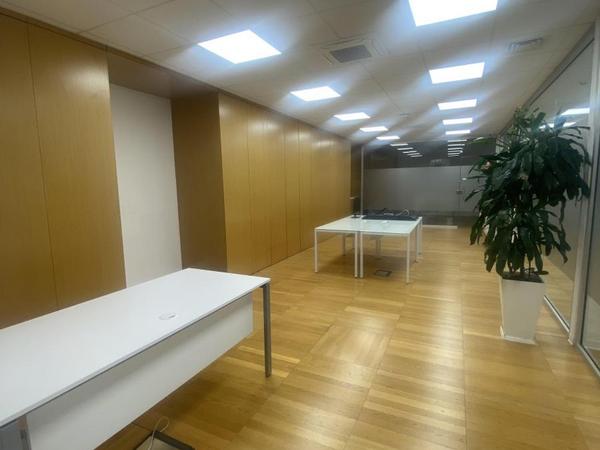 studio office for rent egkomi nicosia 1511753 image 14195743