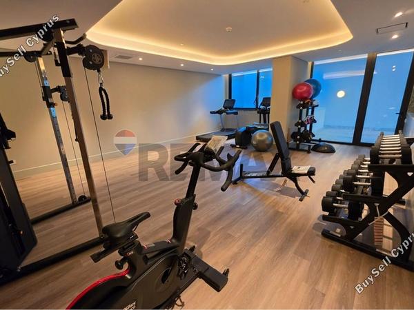 2 bedroom apartment for rent potamos germasogeias limassol 8758853 image 16529599