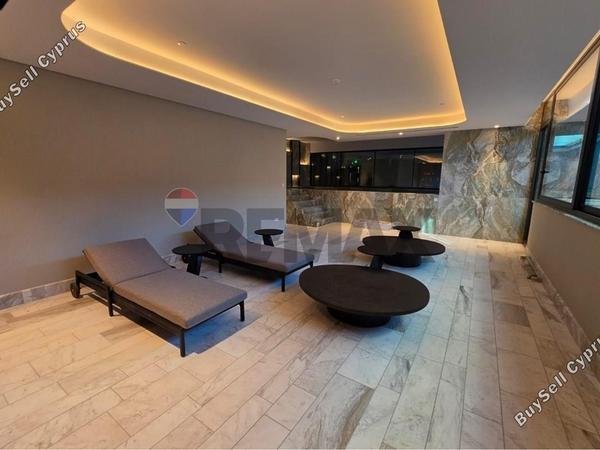 2 bedroom apartment for rent potamos germasogeias limassol 8758853 image 16529602