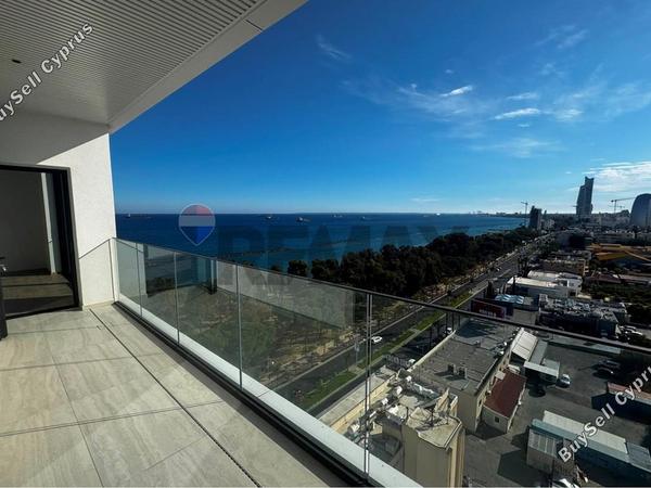 2 bedroom apartment for rent potamos germasogeias limassol 8758853 image 16529607