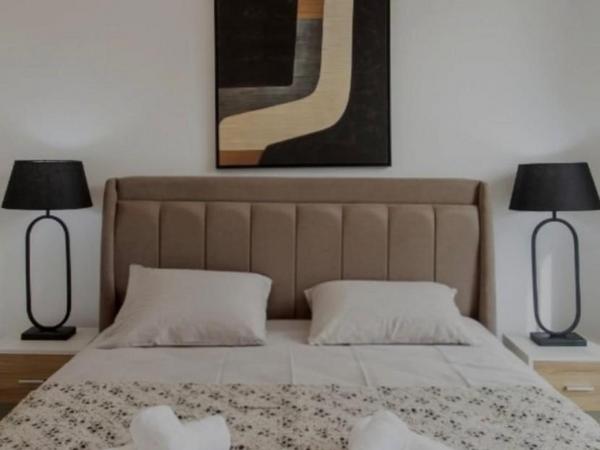 2 bedroom detached house for rent argaka paphos 8821853 image 16945165