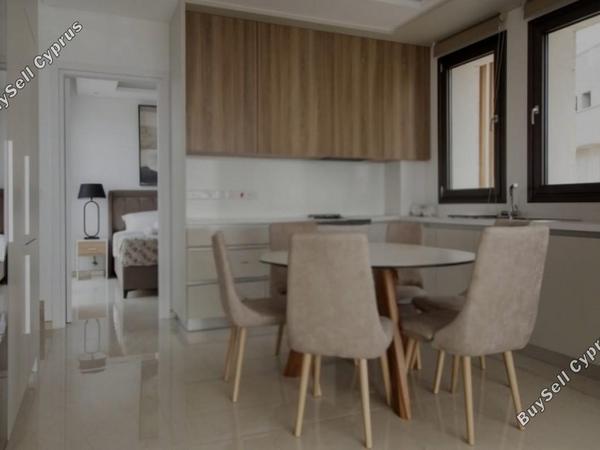 2 bedroom detached house for rent argaka paphos 8821853 image 16945167