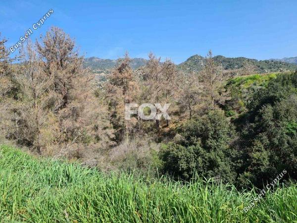 land for sale kalo chorio lemesou limassol 1146853 image 5549468