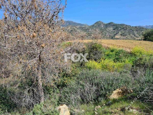 land for sale kalo chorio lemesou limassol 1146853 image 5549469