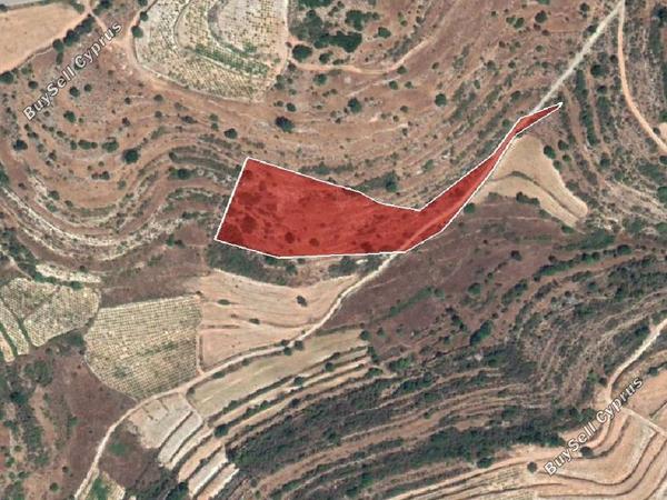 land for sale pachna limassol 945853 image 15600753
