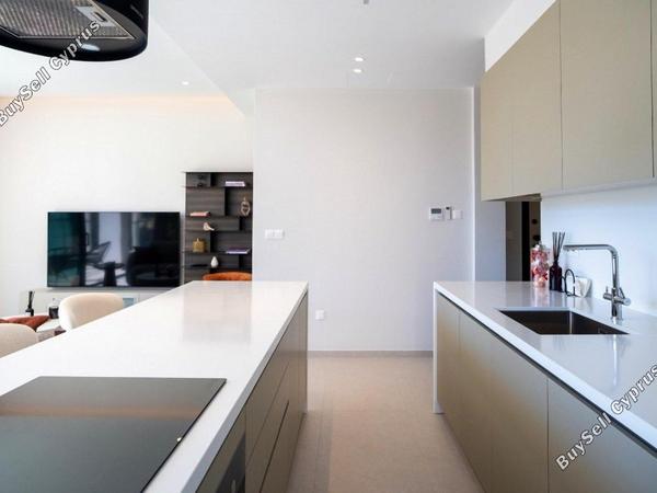 1 bedroom apartment for sale agios nektarios limassol 8316953 image 14172183