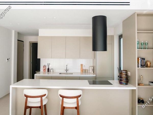 1 bedroom apartment for sale agios nektarios limassol 8316953 image 14172186