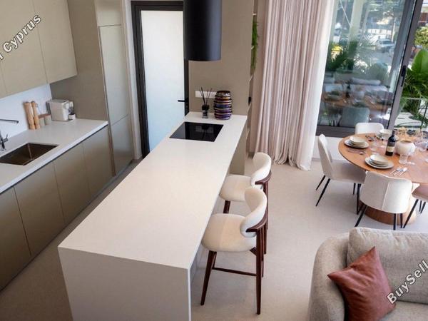 1 bedroom apartment for sale agios nektarios limassol 8316953 image 14172187