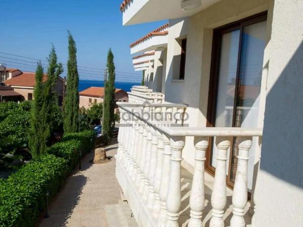 2 bedroom detached house for rent poli chrysochous paphos 8748953 image 16470070