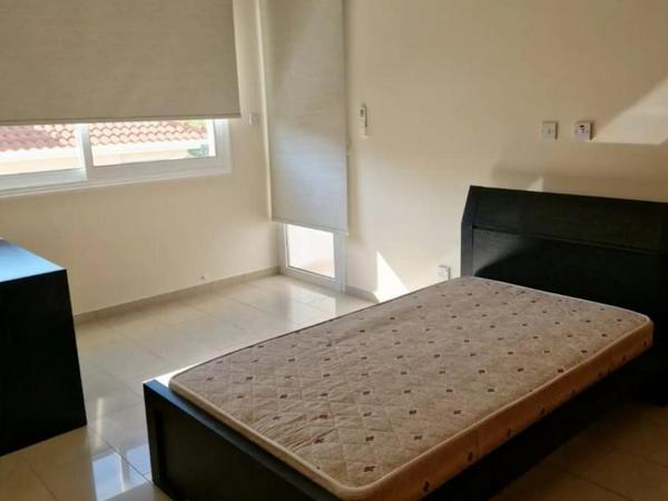 3 bedroom apartment for rent paphos municipality paphos 8542953 image 16946239