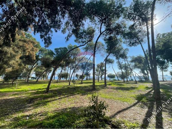 3 bedroom apartment for sale potamos germasogeias limassol 1586953 image 16829088