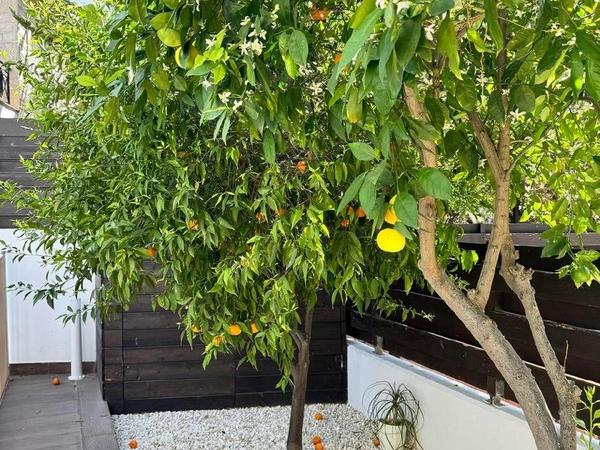 5 bedroom detached house for sale pyrgos limassol limassol 7637953 image 11429425