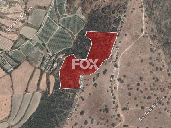 land for sale pissouri limassol 1588953 image 15397285