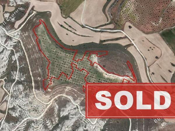 land sold athienou larnaca 830953 image 1056993