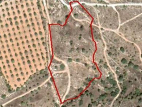 plot for sale anavargos paphos 1680953 image 9623824
