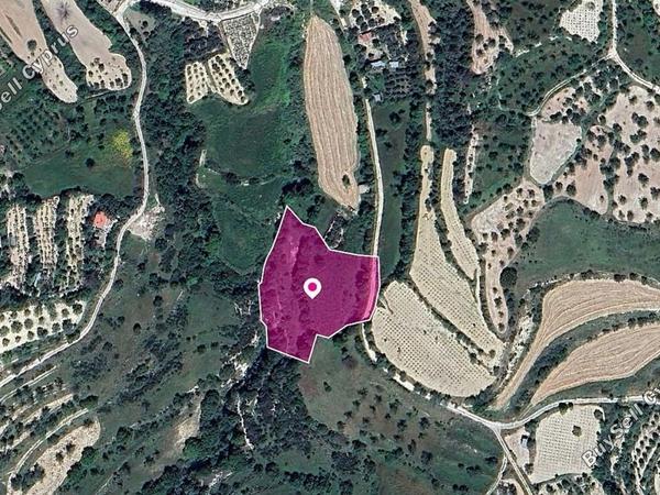 land for sale kallepeia paphos 8396063 image 14823563