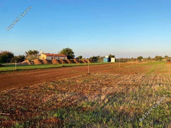 land for sale mazotos larnaca 7736063 image 10176229