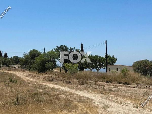 land for sale mesogi paphos 1412063 image 10035601