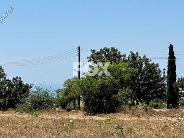 land for sale mesogi paphos 1412063 image 10035604
