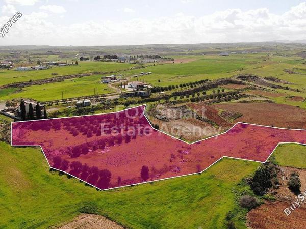land for sale palaiometocho nicosia 8404063 image 14908156