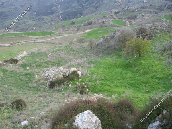 land for sale drousia paphos 946163 image 15599917