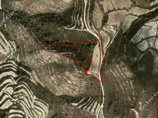 land for sale koili paphos 828163 image 15177848