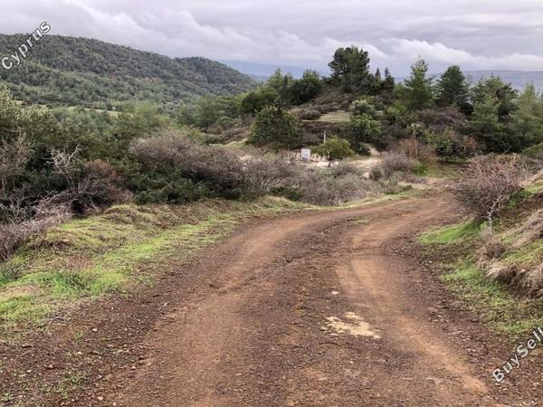 land for sale lysos paphos 8396163 image 15717470