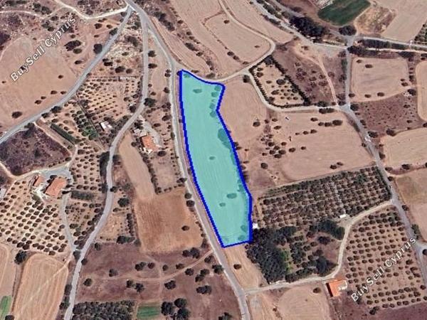 land for sale kalavasos larnaca 1547263 image 5884273