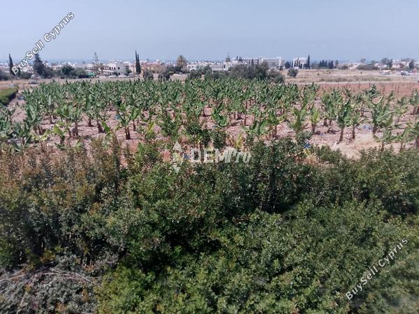 4 bedroom detached house for rent peyia paphos 8804363 image 16787697