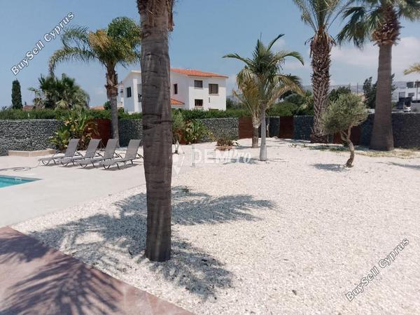 4 bedroom detached house for rent peyia paphos 8804363 image 16787701