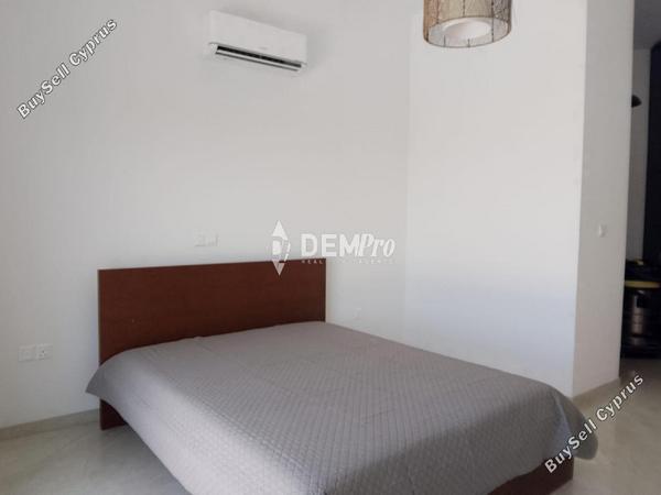 4 bedroom detached house for rent peyia paphos 8804363 image 16787717
