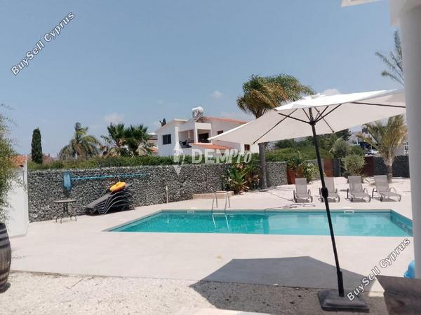 4 bedroom detached house for rent peyia paphos 8804363 image 16787730