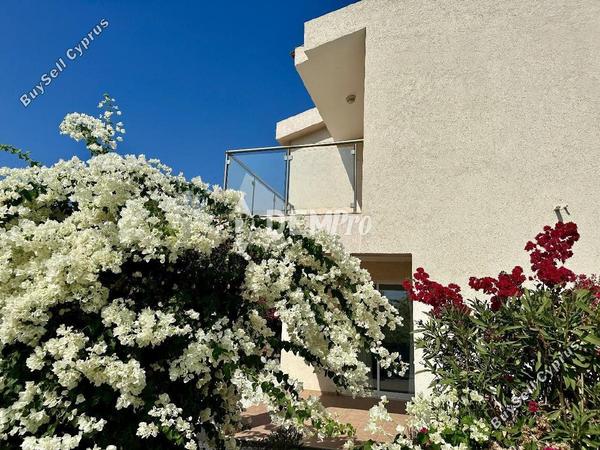3 bedroom detached house for sale sea caves peyia paphos 7812463 image 12691298