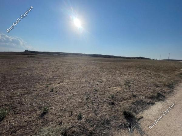 land for sale agioi trimithias nicosia 8106463 image 13239701