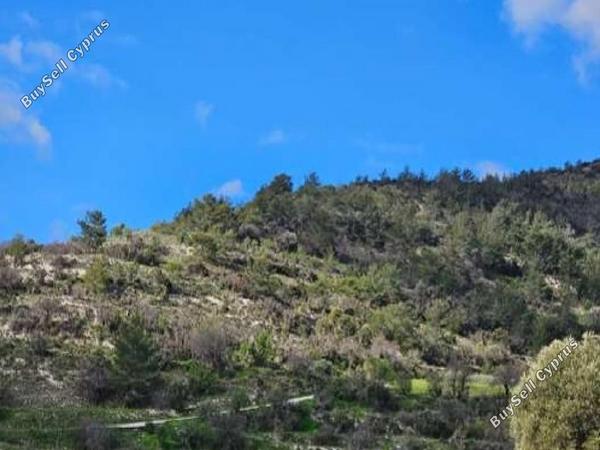 land for sale amargeti paphos 1667463 image 17420462