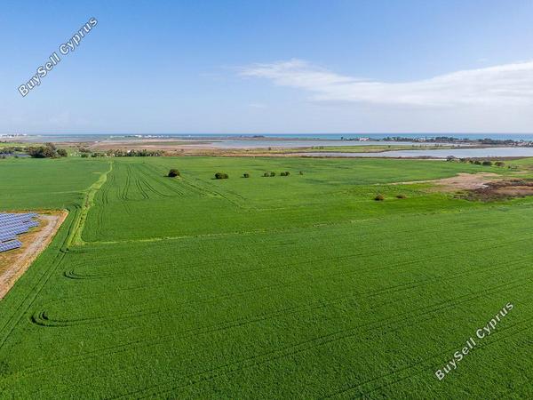 land for sale meneou larnaca 8249463 image 13880729