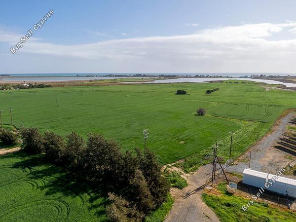 land for sale meneou larnaca 8249463 image 13880731
