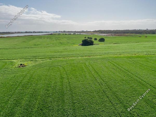 land for sale meneou larnaca 8249463 image 13880733