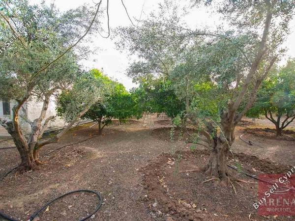 5 bedroom detached house for sale kiti larnaca 1269563 image 13156934