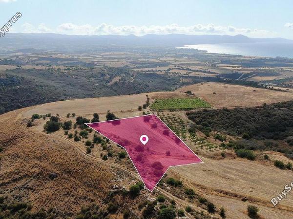land for sale pelathousa paphos 8237563 image 14230816