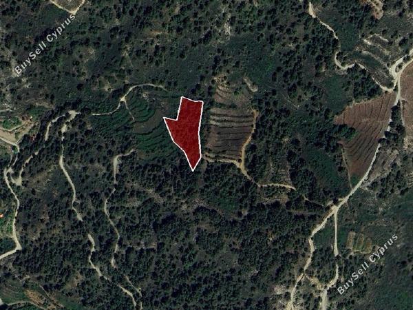land for sale pelendri limassol 7805563 image 15596409