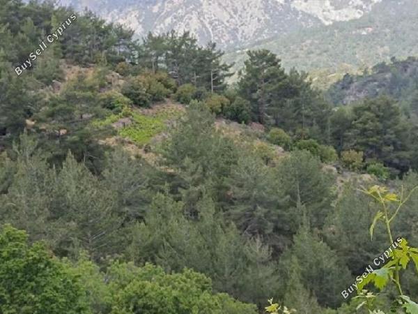 land for sale pelendri limassol 7805563 image 15596410