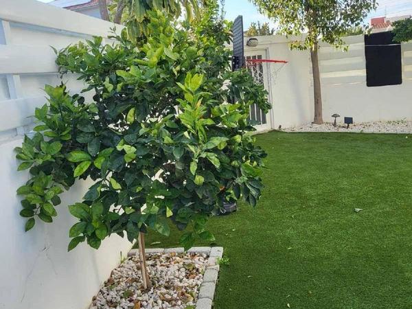 3 bedroom detached house for sale strovolos nicosia 8798663 image 16720486