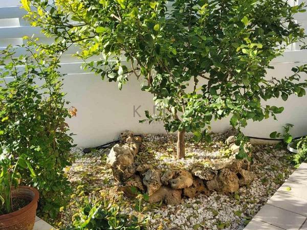 3 bedroom detached house for sale strovolos nicosia 8798663 image 16720487